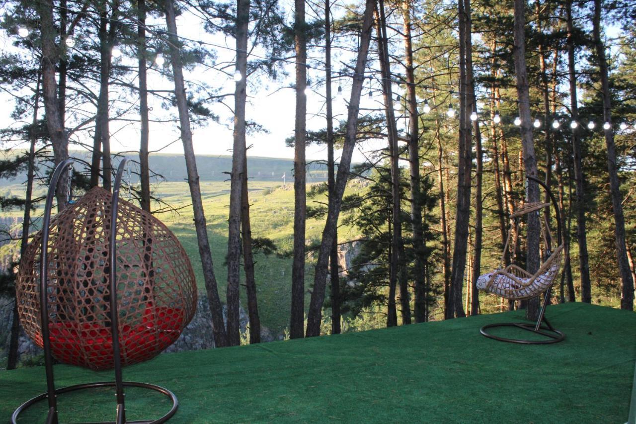 Hotel Daxvalley Glamping à Tsalka Extérieur photo